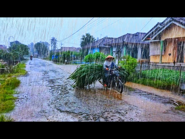 Heavy rain in my village almost every day, walking to see the view of the houses in my village.