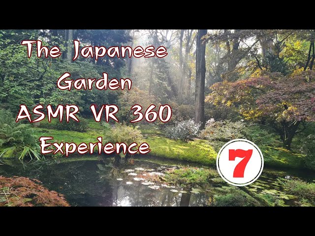 Japanese Garden in The Hague | ASMR Relaxing - Virtual Reality Experience