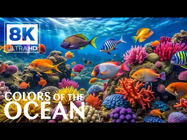 Aquatic Wonders 8K VIDEO (ULTRA HD) 🐠 Vibrant Reef Fish - Calming Music for Deep Relaxation