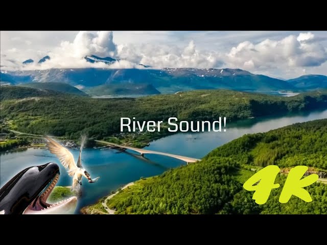 4K Natural  with sound river stream | Peaceful river forest water flow sound