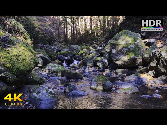 [Nature sounds] Sound of mysterious clear stream flowing between rocks [4K HDR]