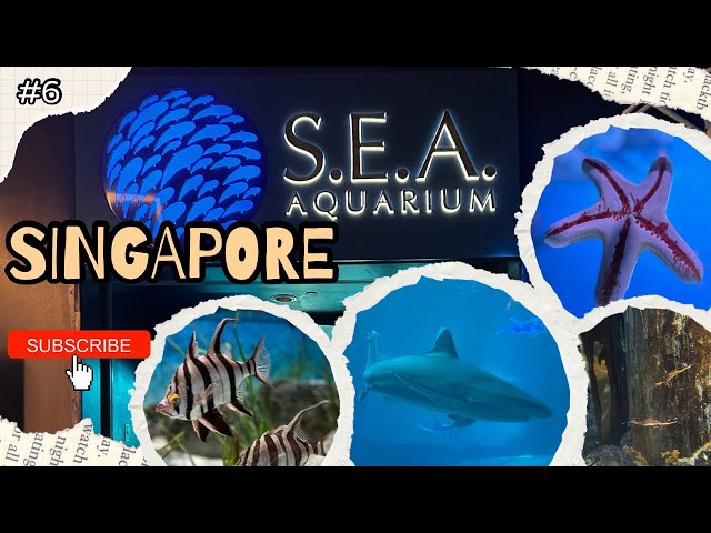 S.E.A Aquarium The Ocean's Greatest Heist #vlog #aboutSingapore