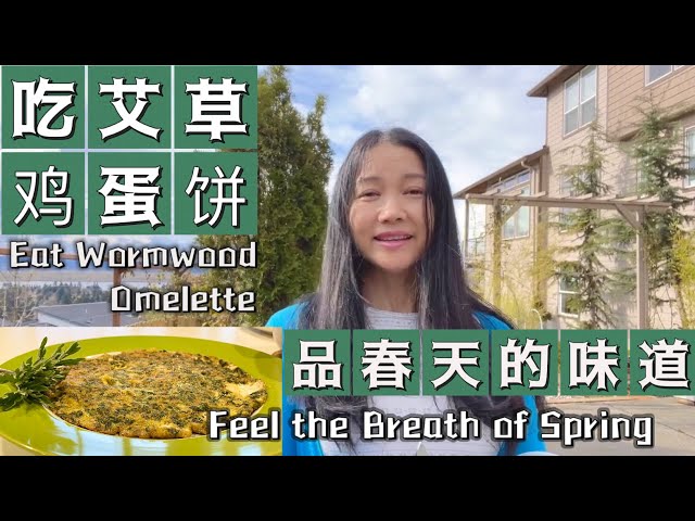 你知道艾草可以这样吃吗？艾草的益处（With CC）Benefits of Wormwood，How to Eat？ #wormwood #cooking wormwood omelette