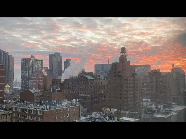 Open Window | New York City | Early Morning Soundscape in HD | ASMR