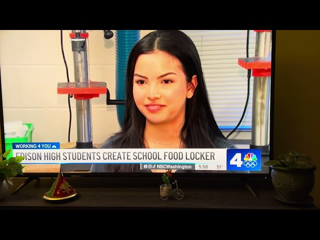 Layla on Local news