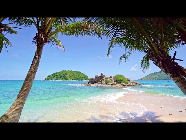 Tropical Beach with Waves crashing on Sandy Shore | White Noise for Meditation & Sleep | 4K UHD