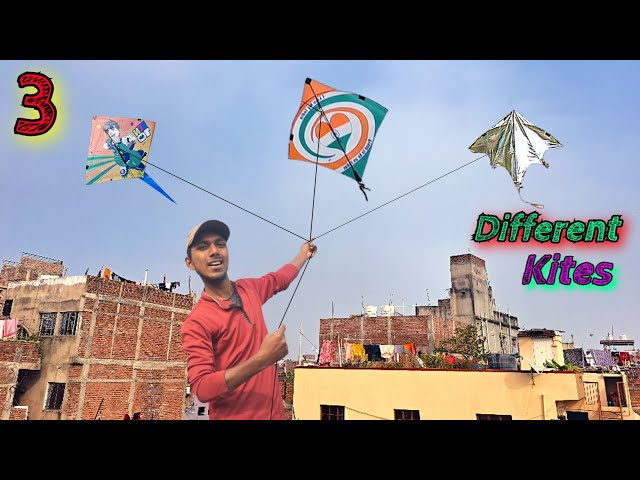 Flying Three Different Kites At Makar Sankranti 2024. || Kite flying || Kite fighting. #kite #kites