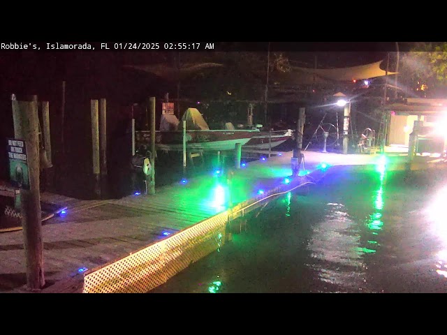 Tarpon Feeding Dock at Robbie's Marina in Islamorada - LIVE