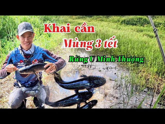 Khai cần đụng liền 2 Hugo đen thui // Câu cá lóc rừng U Minh Thượng #huukhuynhkiengiang (tập 182)