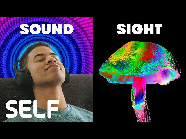 How Magic Mushrooms Affect The 5 Senses | Through The Senses | SELF