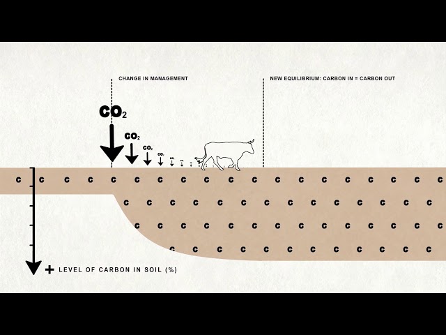 Grazed and Confused? How much can grazing livestock help to mitigate climate change?