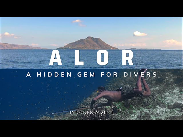 Alor: A Hidden Gem For Divers | Indonesia | 4K HDR | 2024