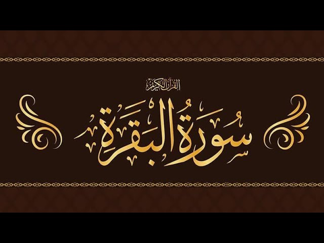 Surah Al Baqarah Beautiful Recitation and Relaxing (Ahmad Al Salabi)