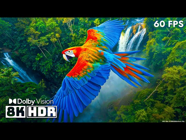 Explore Earth's Beauty in 8K HDR (60 FPS) | Dolby Vision™