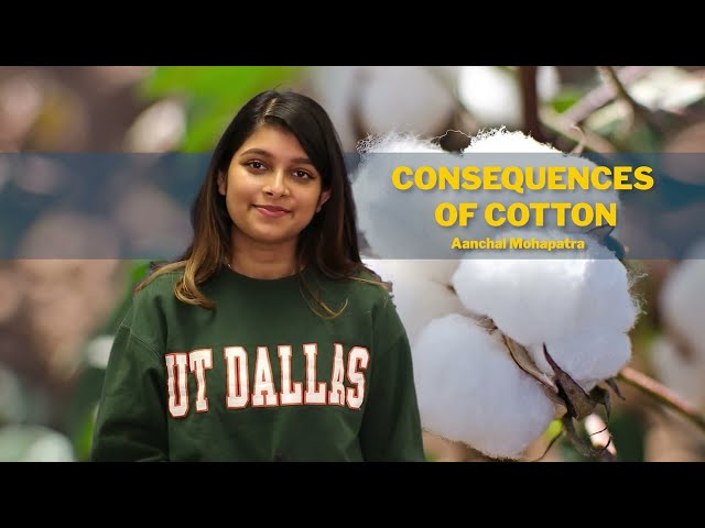 Environmental Impacts of Cotton