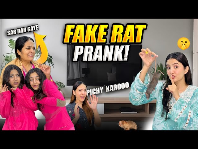 Fake rat in washing machine prank | mama ka scary reaction** Must watch** | Hira Faisal |Sistrology