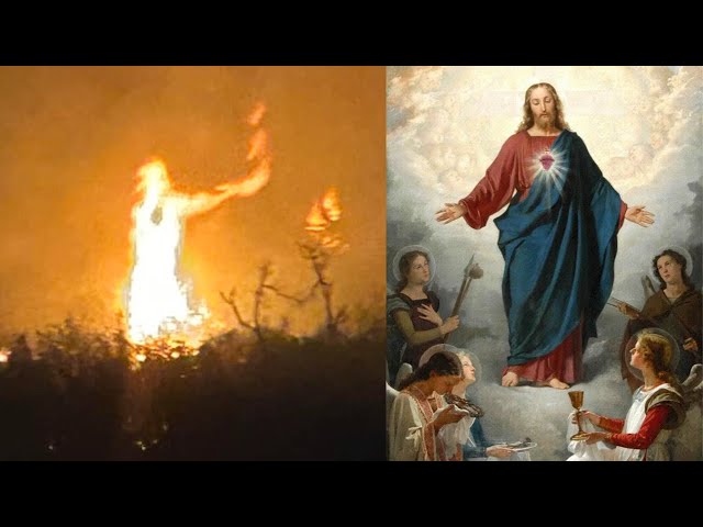 Miraculous Jesus Figure in Forest Fire: Sacred Heart Revealed? AI Enhanced Image, UFO Sighting News.