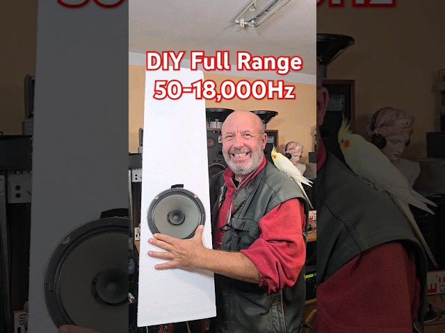 Building DIY Full Range BUDGET Speakers - 1980s Vintage German Speaker Sound Test