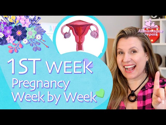 1ST WEEK OF PREGNANCY | Symptoms, How is the baby. LMP. Weeks X months | 1ST TRIMESTER OF PREGNANCY