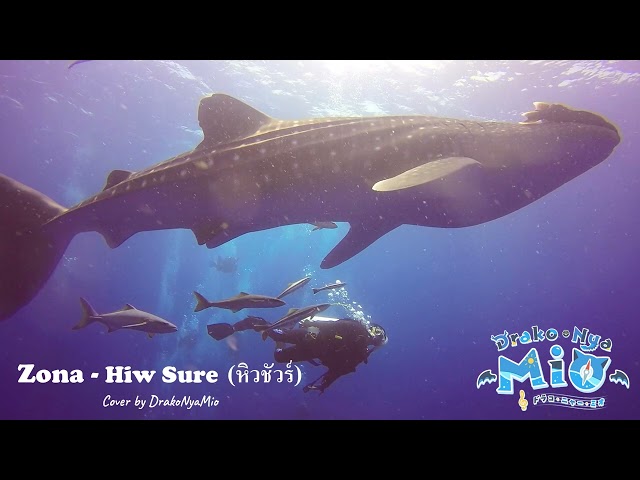 Cover by Mio - หิวชัวร์ (Hiw Sure) - Zona