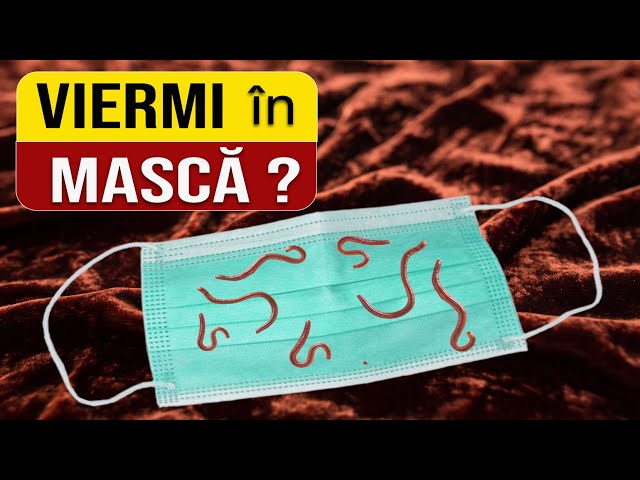 Viermi în masca de protecție? 😮 Lămurim misterul