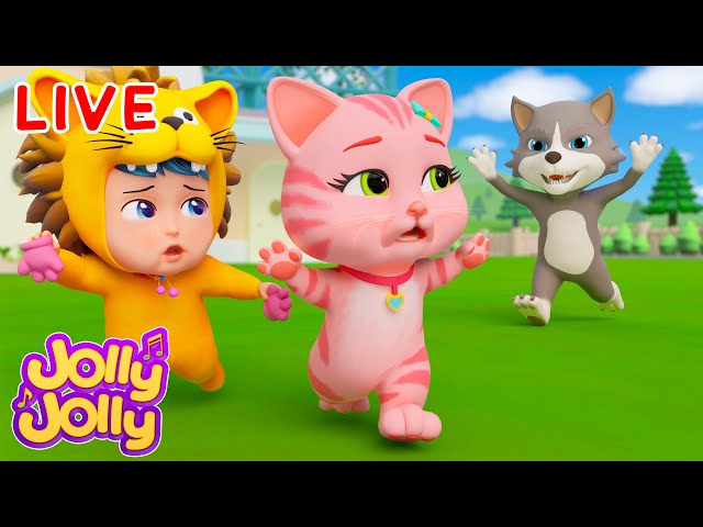 Trois petits chatons, Humpty dumpty | Jolly Jolly et animaux | Meilleures chansons pour enfants !