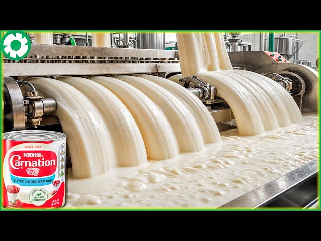 How Condensed Milk is Made in Factory | Explore The Process - Agriculture Technology