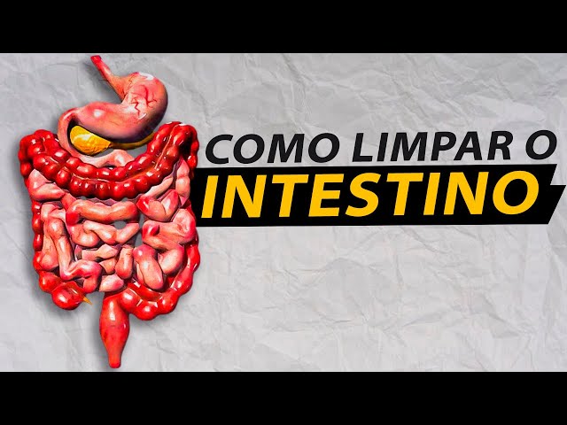 SECA BARRIGA RÁPIDO com o MELHOR SUPLEMENTO Natural - LIMPA INTESTINO