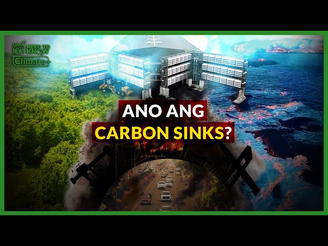 Ano ang Carbon Sinks? | Need to Know