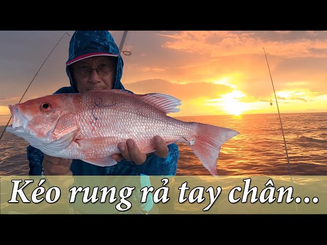 Câu Cá Hồng Khủng Ngoài Khơi  Bang Florida USA  - 4K | florida deep sea fishing |#VietTampaBay