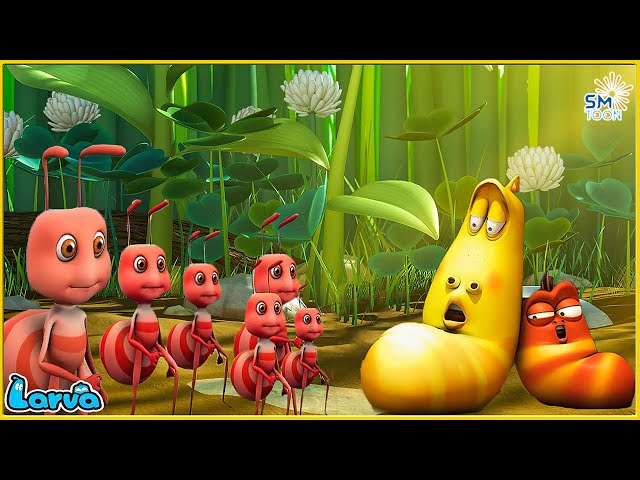 Larva Terbaru 2022 🐛 Musuh Yang Kuat 😱 1 Jam Relaksasi Dengan Film Kartun Terbaik Sub Indonesia