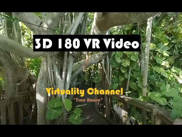 180 VR - Tree House - 4K _ Florida Botanical Gardens, Travel, Storytelling