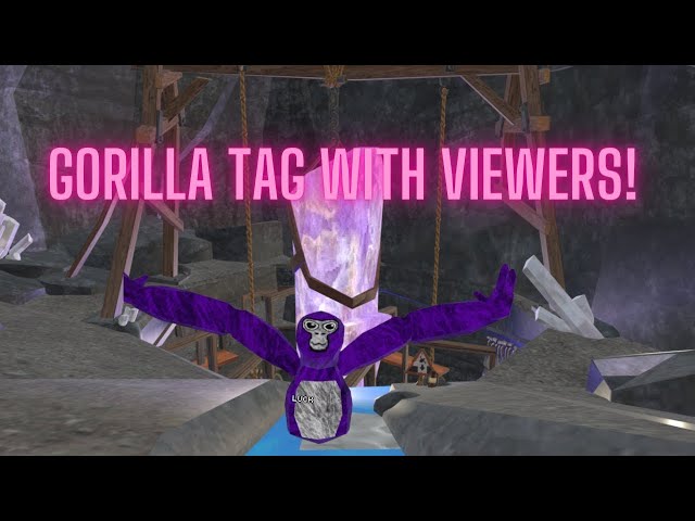 Gorilla Tag And More Live!