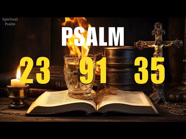 PSALMS 91 AND 23 AND 35: LORD, STRENGTHEN MY LIFE WITH YOUR GRACE AND DIVINE PROTECTION. #psalm91