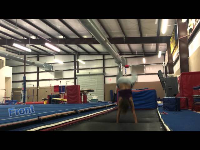 The Art Of Back Flipping feat Ariyana