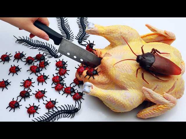 STOP MOTION COOKING - Asmr Mukbang BBQ Chicken From Monster Bugs IRL 4K | Cuckoo