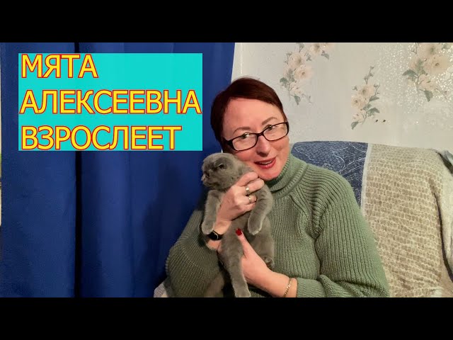 МЯТА ВЗРОСЛЕЕТ // ВОПРОСЫ О СТЕРИЛИЗАЦИИ // БОЛЕЮ // ЗАКАЗ ПРОДУКТОВ ИЗ ЛЕНТЫ // ПРАВО НА МЕЧТУ