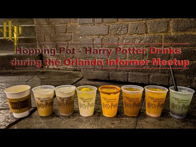 8K Hopping Pot - Harry Potter Drinks during the Orlando Informer Meetup Universal Orlando VR180 3D