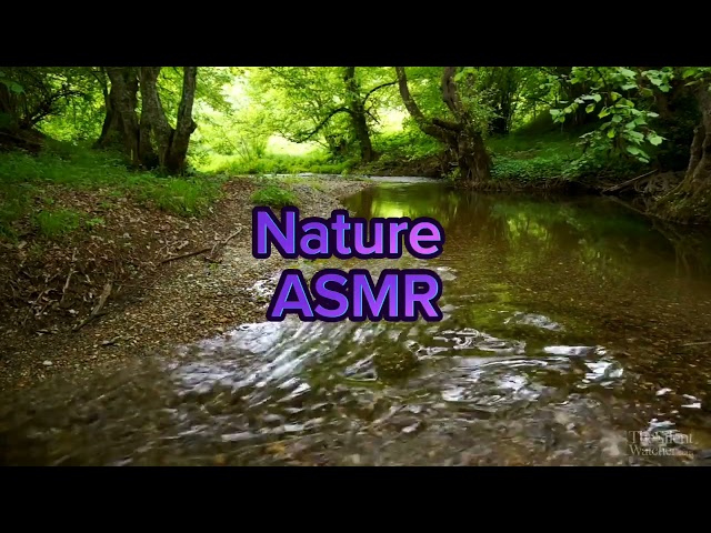 ASMR Wild Nature for relaxing