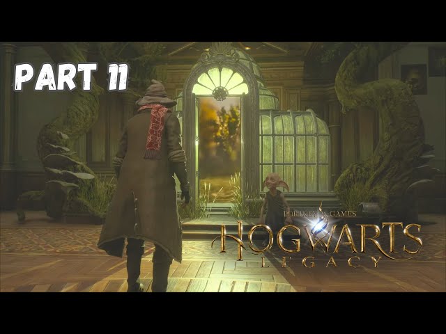 Collecting Your Own Beasts - Hogwarts Legacy Walkthrough Part 11 PS5