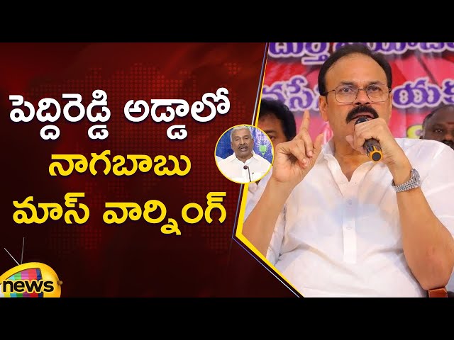 Naga Babu Serious Warning To Peddireddy Ramachandra Reddy At Punganur | Janasena | AP Politics