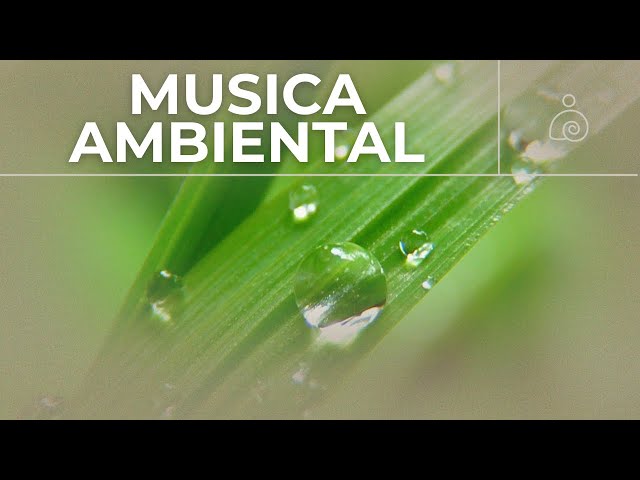 🌿Música Ambiental / Libera El Estrés Y la Ansiedad 🌿