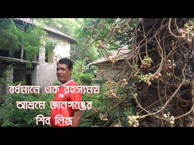 বর্ধমানের এক রহস্যময় আশ্রমে জ্ঞানগঞ্জের শিব লিঙ্গ- Shiva Lingam of Gyanganj in a ashram of Burdwan..