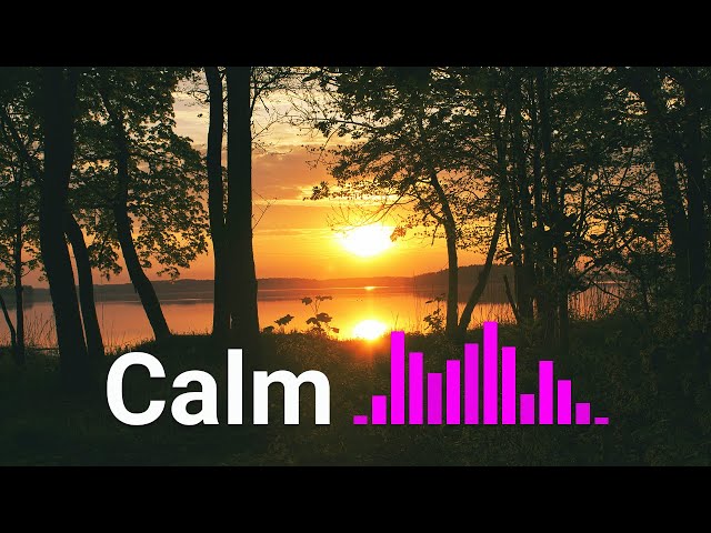 Peaceful Music for Mind Relaxation | Calming Piano Melodies & Nature Sounds for Stress Relief, Sleep