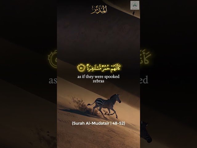 A recitation to calm your soul! 🌙 – Sheikh Salah Al-Musally #quran #peace #spiritual