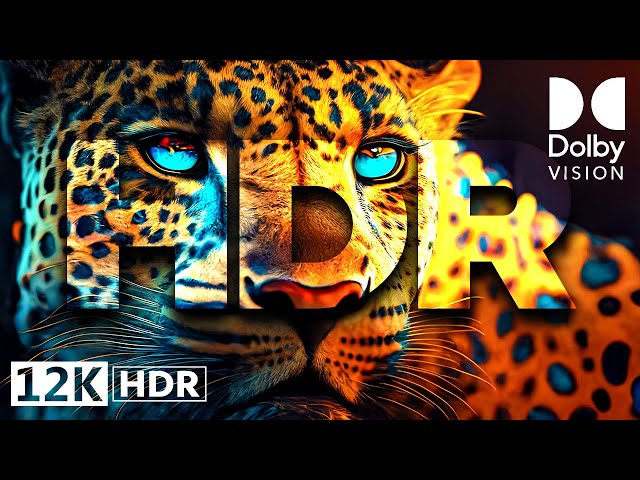 ANIMAL KINGDOM 12K ULTRA HD HDR | DOLBY VISION™