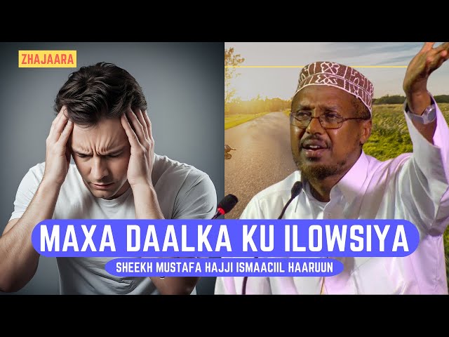 Waxyaabaha Daalka ku Ilowsiiya   Sh Mustafe Xaaji Ismaaciil