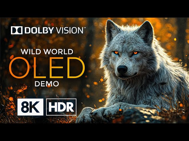 OLED 8K HDR 60fps with Dolby Vision –  Most Beautiful Places in the World