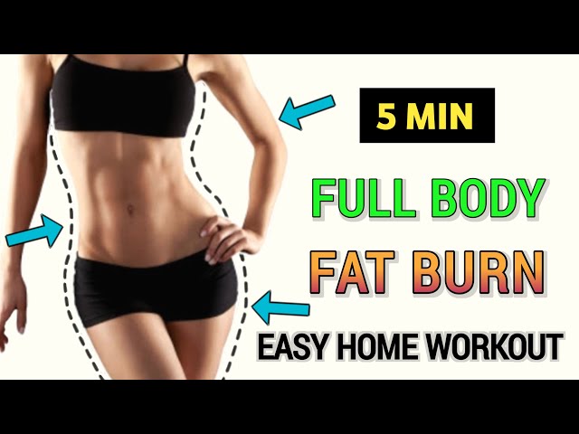 5 MIN FAT BURNING WORKOUT | EASY FAT BURN IN 5 MIN ( No Equipment )