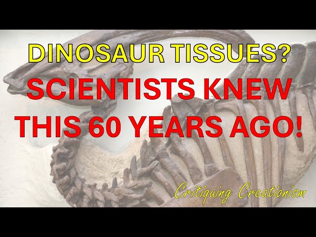 Soft Tissue Preservation in Dinosaur Bones: A Shocking Discovery?